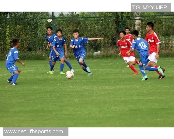 精彩足球视频集锦回顾经典瞬间助你重温赛场激情与荣耀