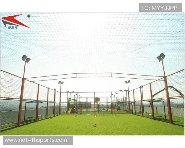 网式足球的魅力与发展探讨：如何在新时代中重塑这项运动的未来