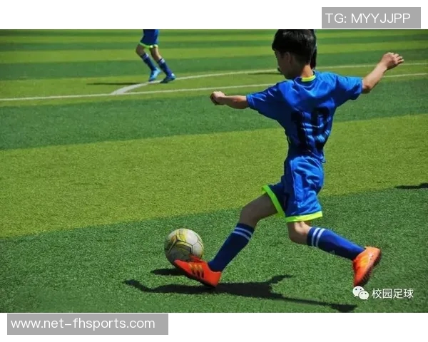 足球运动的魅力与历史发展全景解析与技巧分享